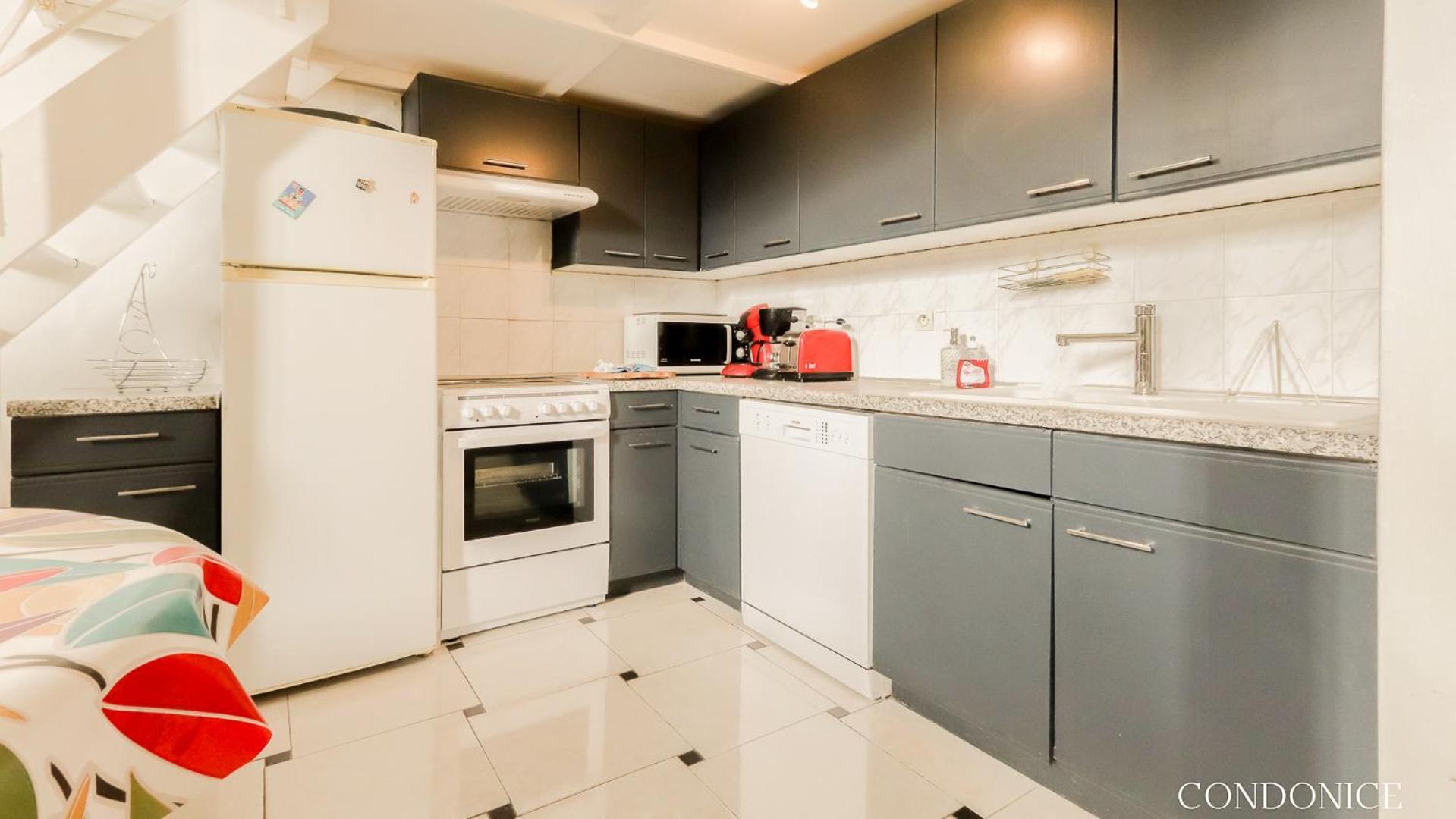 Condoنيس المظهر الخارجي الصورة