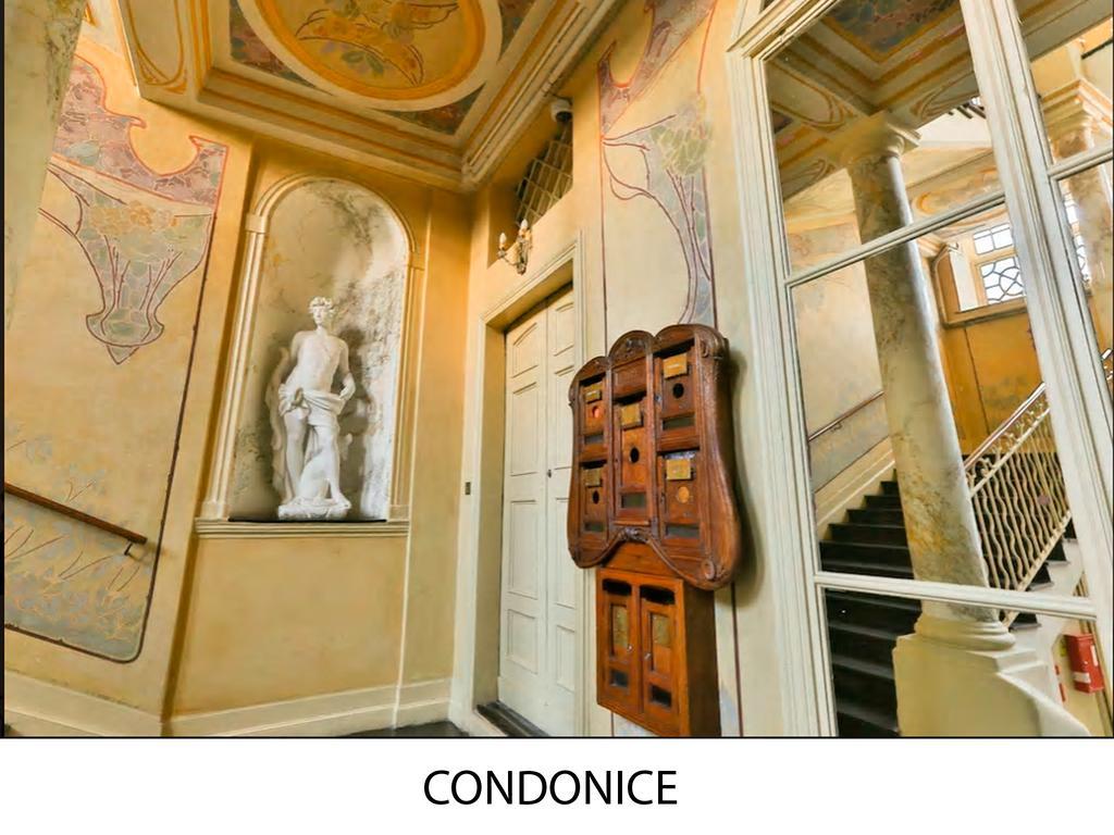 Condoنيس المظهر الخارجي الصورة
