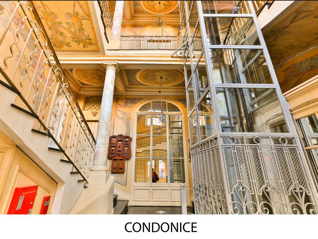 Condoنيس المظهر الخارجي الصورة
